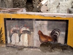 A fresco depicting two ducks and a rooster on an ancient counter discovered during excavations in Pompeii, Italy, is seen in this handout picture released Dec. 26, 2020.