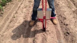 Engineer Demonstrates Prototype Hand Planter