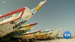 Les bateaux de pêche aux couleurs vives du Sénégal rapportent les meilleures prises