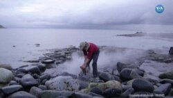 Jura Devri’ne Ait Fosil Bulundu 