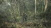 RDC: des gardes du parc des Virunga tuent deux rebelles rwandais présumés 