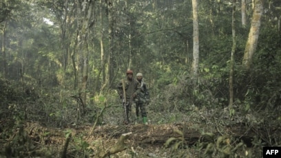 La dernière attaque d'envergure attribuée aux FDLR contre des écogardes dans le parc des Virunga remonte à avril 2020. (AFP, archives)