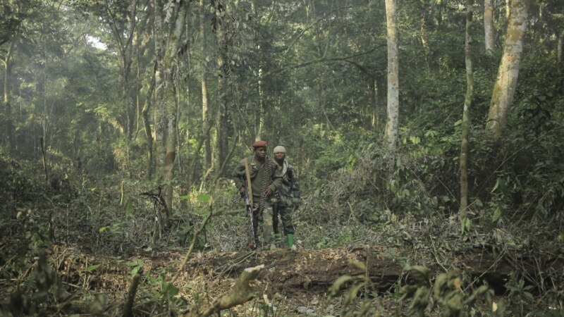 RDC: des gardes du parc des Virunga tuent deux rebelles rwandais présumés
