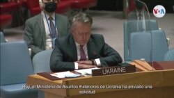 Embajador de Ucrania en ONU: Es fundamental ver ahora quién es nuestro verdadero amigo y socio