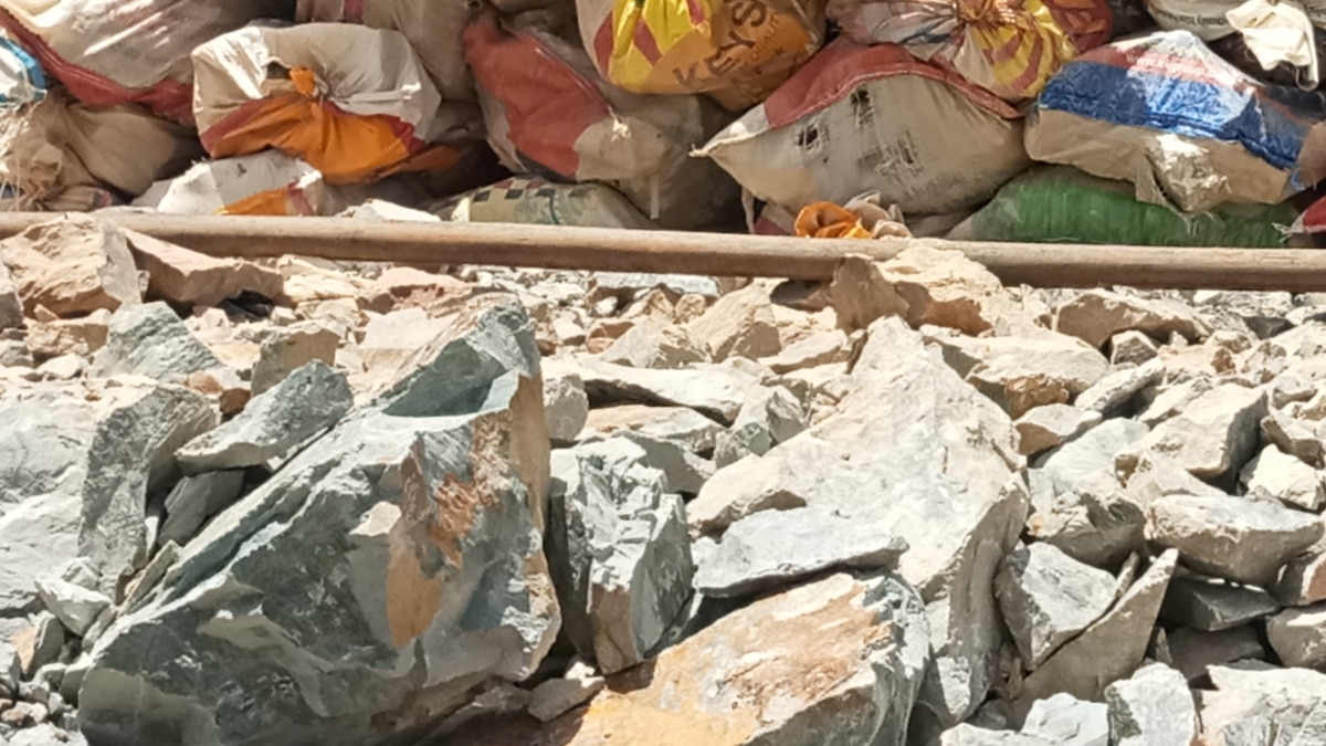 Zimbabwe Police Arrest Former Zanu PF Youth League Leader Linked to 400kg Crushed Gold Ore Robbery - Vimarsana News