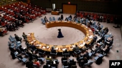 Sjednica Vijeća sigurnosti UN-a o Ukrajini. (Evan Schneider/Ujedinjene nacije preko AP-a)
