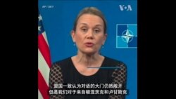 美驻北约代表：明斯克协议名存实亡