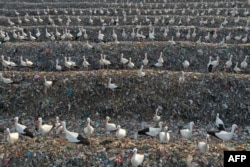 FILE - Storks gather over discarded plastic at the Tovlan landfill in the Jordan Valley, in the Israeli-occupied West Bank, Feb. 18, 2022. (Photo by MENAHEM KAHANA / AFP)