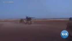 Terrorist Cattle Rustling Part of Toxic Mix of Food Insecurity in Sahel