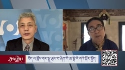 བོད་པ་ཟློས་གར་སྒྱུ་རྩལ་བ་ཞིག་གི་ཨ་ཧྥི་རི་ཀའི་སྐོར་སྐྱོད།