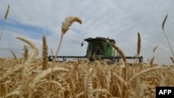 FILE - Farmers bring in the harvest with their combine harvester on a wheat field in the southern Russian Stavropol region, July 9, 2014.