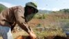 Việt Nam phản ứng gay gắt việc Hoa Kỳ áp thuế chống phá giá mật ong