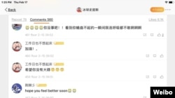 Screenshot of user comments on Jeremy Smith's Weibo account, Feb. 17, 2022.