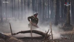 «Աղետ». Արգենտինայի գյուղական շրջաններում երաշտը անտառային հրդեհների պատճառ է դարձել