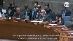 El Secretario General de las Naciones Unidas hace un llamado Putin