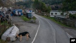 A dog walks along End of Road on Jan. 19, 2022, where police received and investigated reports of Emmilee Risling staying before her disappearance in October 2021, on the Yurok Reservation, Calif.