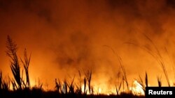 Una vista del incendio forestal que se ha extendido por más de 500.000 hectáreas en la norteña provincia de Corrientes, Portal San Antonio, Argentina, 14 de febrero de 2022.