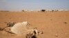 Good Rainy Season Forecast for Parts of Drought-Stricken Horn of Africa