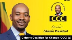 UMnu Nelson Chamisa