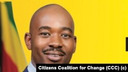 Opposition Citizens Coalition for Change leader Nelson Chamisa.