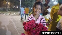 জিনিয়া। (ছবি- মাহতাব হোসেন) 