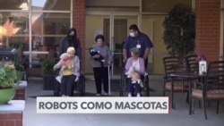 Robots como mascotas 