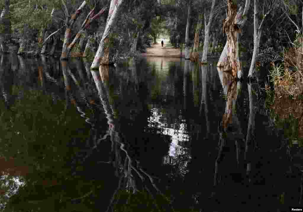 A man walks along Athalassas Park Lake in Nicosia, Cyprus, Feb. 21, 2022.