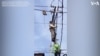 A Sloth Resting on Electrical Wires is Rescued in Colombia 