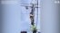 A Sloth Resting on Electrical Wires is Rescued in Colombia 