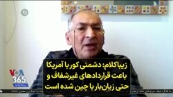 زیباکلام: دشمنی کور با آمریکا باعث قراردادهای غیرشفاف و حتی زیان‌بار با چین شده است