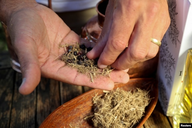 Les Ansley, owner of Indlovu Gin, separates juniper berries and botanicals from dried elephant dung, used to make Indlovu gin, in Paarl, near Cape Town, South Africa, January 28, 2022. Picture taken January 28, 2022. REUTERS/Sumaya Hisham