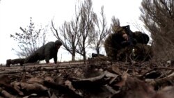 Ukrajina: Novinari i zvaničnici pod minobacačkom vatrom