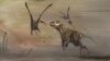 Scientists Discover Well Preserved Fossil of Largest Pterosaur