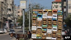 A Palestinian man rides his donkey cart loaded with boxes in Gaza city.