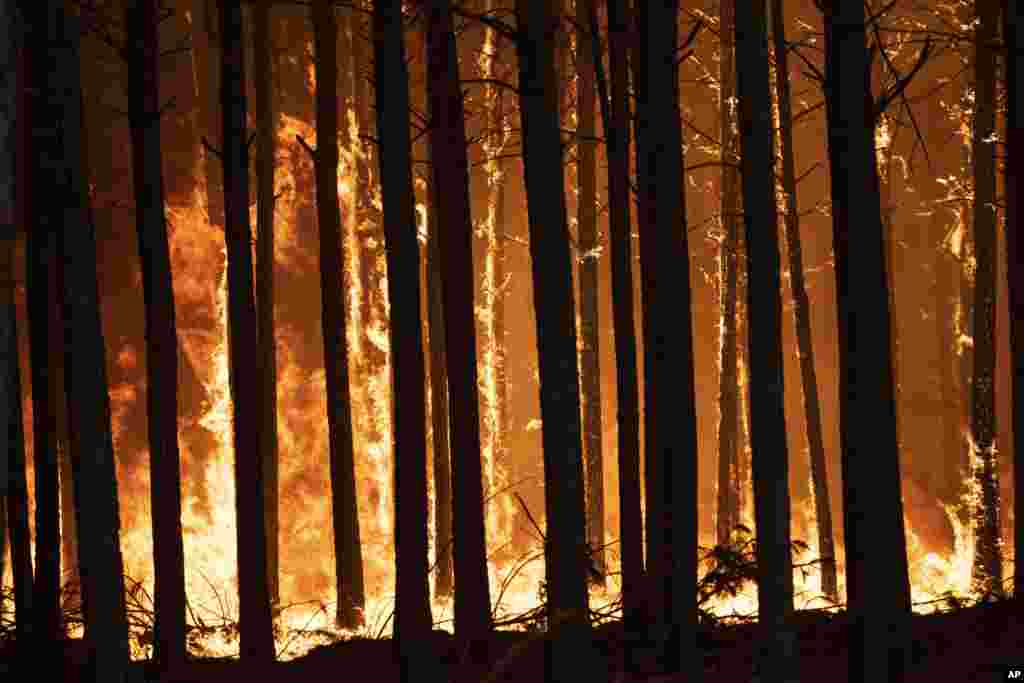A column of fire burns pine trees in Santo Tome, Corrientes province, Argentina, Feb. 20, 2022.