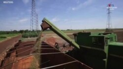 Գլոբալ պարենային ճգնաժամ՝ ռուս-ուկրաինական պատերազմի դեպքում