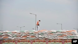 FILE - An Afghan truck driver ties a rope as trucks carrying wheat from India wait to pass through the Attari-Wagah border between India and Pakistan, near Amritsar, India, Feb.22, 2022.