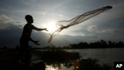 A construction worker casts a fishing net onto a flooded land following recent rain to catch fish on the outskirts of Phnom Penh, Cambodia, Thursday, June 11, 2020. (AP Photo/Heng Sinith)
