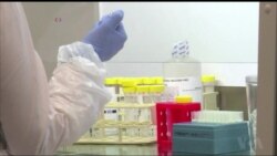 DNA Lab in Netherlands to Help Find Missing People Worldwide
