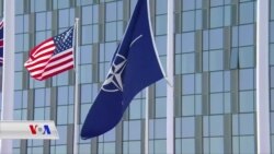 Trump Dixwaza Amerîka ji NATO Derxîne