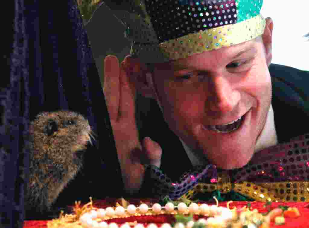 Seorang penunggu kebun binatang mendengarkan jawaban T-Boy, groundhog di Kebun Binatang Audobon di New Orleans di 2011 (AP).