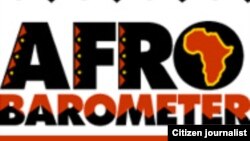 Ongororo yeAfrobarometer inoti huwori hwakanyanya mumapurisa nevashandi vehurumende