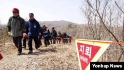 지난 4일 강원 고성군 현내면 민간인 출입통제선 이북에 있는 DMZ 박물관 인근 야산. (자료사진) 
