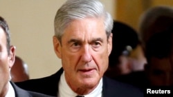 Nunberg cree que el fiscal especial Robert Mueller piensa que Trump es "El candidato manchuriano", en referencia a una novela de la guerra fría sobre un candidato al que un gobierno extranjero le lava el cerebro.