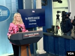 白宫新闻秘书莱维特在白宫的例行记者会上讲话。(2026年3月30日)