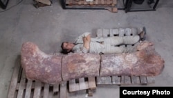 Pablo Puerta of Argentina's Egidio Feruglio Museum of Palaeontology lies next to the femur bone of the newly discovered titanosaur.