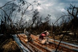 Porcelain figures rest among the remains of a shattered house in the aftermath of Hurricane Dorian in Freetown, Grand Bahama, Bahamas, Sept. 13, 2019.