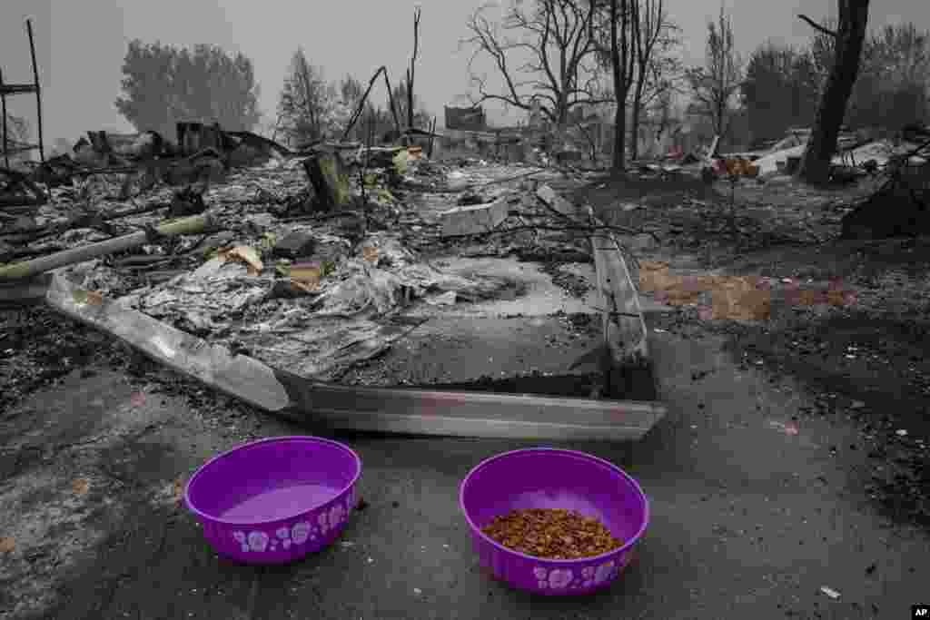 Pacific Northwest Wildfires