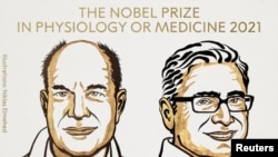 Los científicos estadounidenses David Julius y Ardem Patapoutian ganaron el Premio Nobel de Fisiología o Medicina 2021 por sus descubrimientos de receptores para la temperatura y el tacto. El premio fue anunciado este lunes 4 de octubre de 2021.