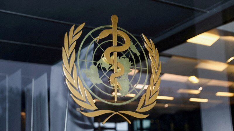 Does the WHO Need a New Treaty for Pandemics?